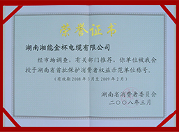 2008年度湖南省首批保護消費者權(quán)益示范單位稱號（2008-2009年）.JPG