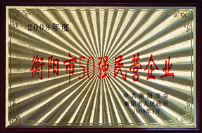 2009年度衡陽市50強民營企業(yè)（2008年）.JPG