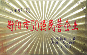2010年度衡陽市50強民營企業(yè)（2009年）.JPG