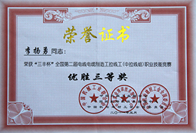 2011年度李楊勇“三豐杯”優(yōu)勝三等獎.jpg