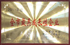 2012年度全市最具成長性企業(yè)（2011年）2.jpg
