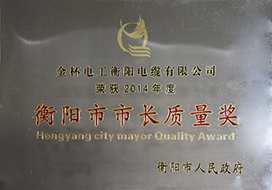 2015年度衡陽市長質(zhì)量獎（2014年）.jpg