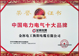 2018年度中國電力電氣十大品牌2.jpg